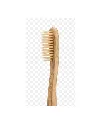 images 3.webp
