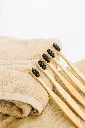 pexels-photo-5518255.webp